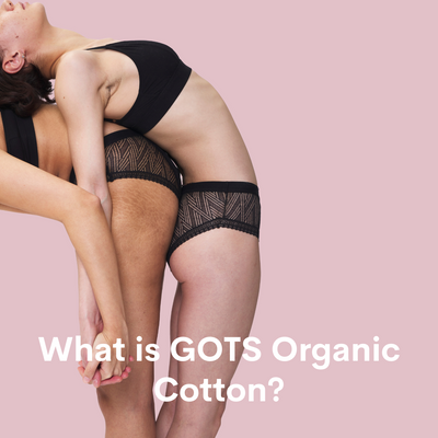 What is GOTS Cotton?