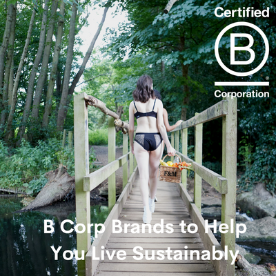 Best B Corp Brands to Live Sustainably