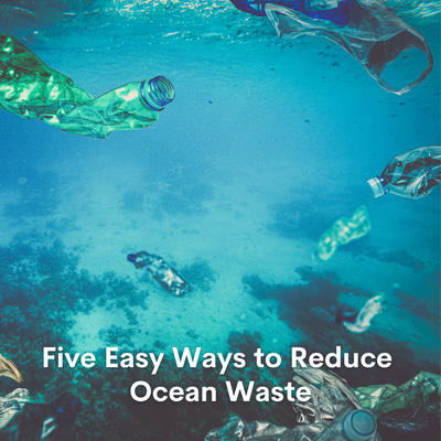 Five Easy Ways to Reduce Ocean Waste Today