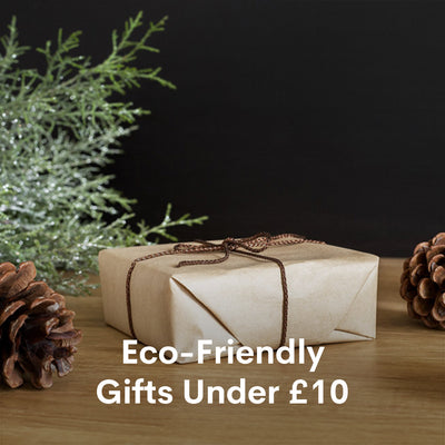Eco-Friendly Gifts Under £10